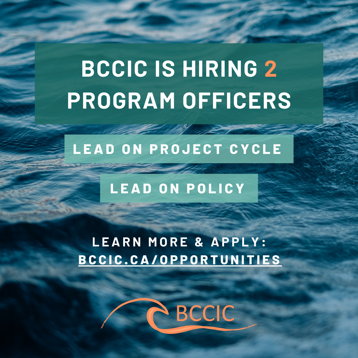BCCIC – Program Officer: Lead on Project Cycle