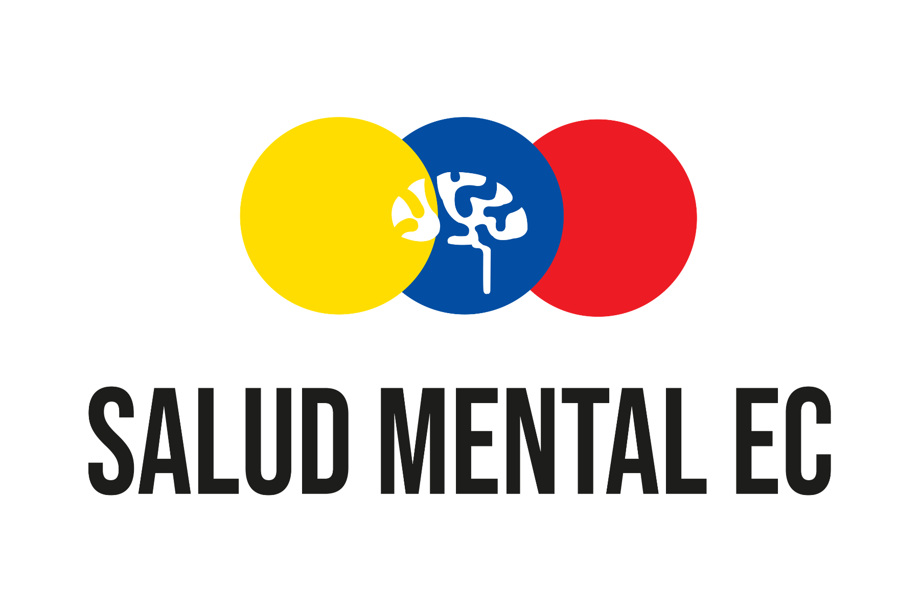 Salud Mental Ecuador